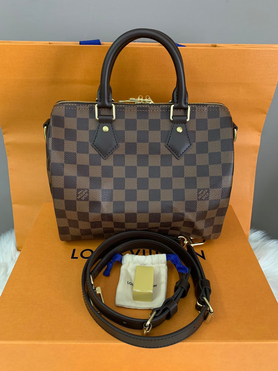 Authentic Brand new Louis Vuitton Speedy 25 damier ebene  eBay