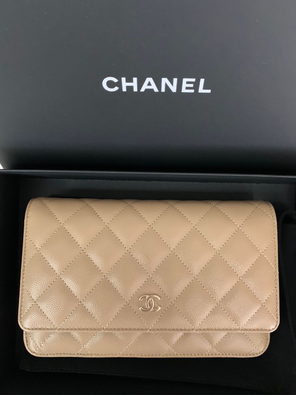 CHANEL 22K Dark Beige Wallet on Chain WoC Mini Bag Features